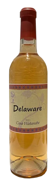Delaware 2021