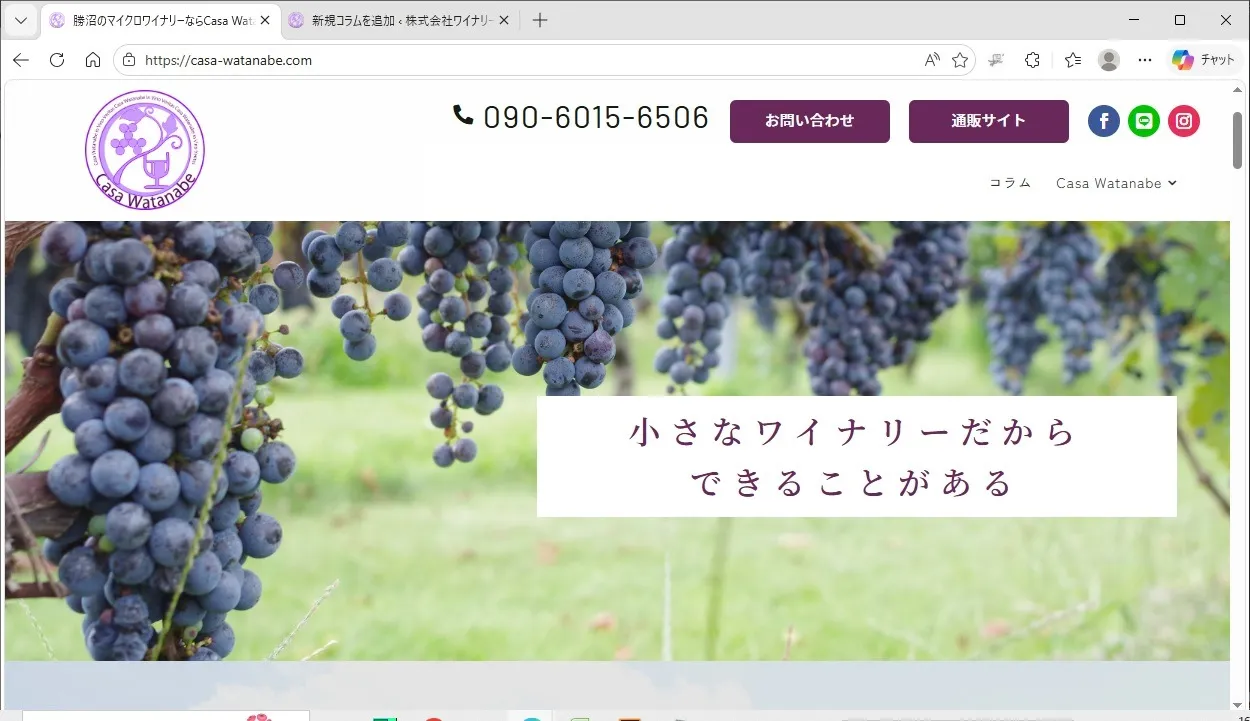 なんと、新HP開設です！ ～ あるいは、新HP開設秘話(笑)